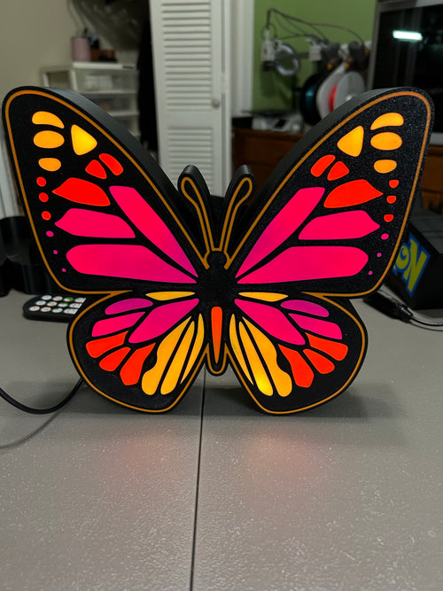 Monarch butterfly light box